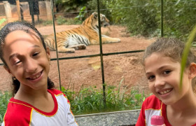 Os alunos do 3º ano viveram uma experiência incrível durante a visita ao Zoo da Montanha, em Marechal Floriano!